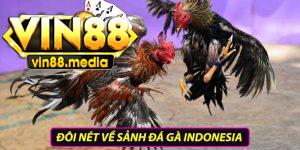 Đôi nét về sảnh đá gà Indonesia